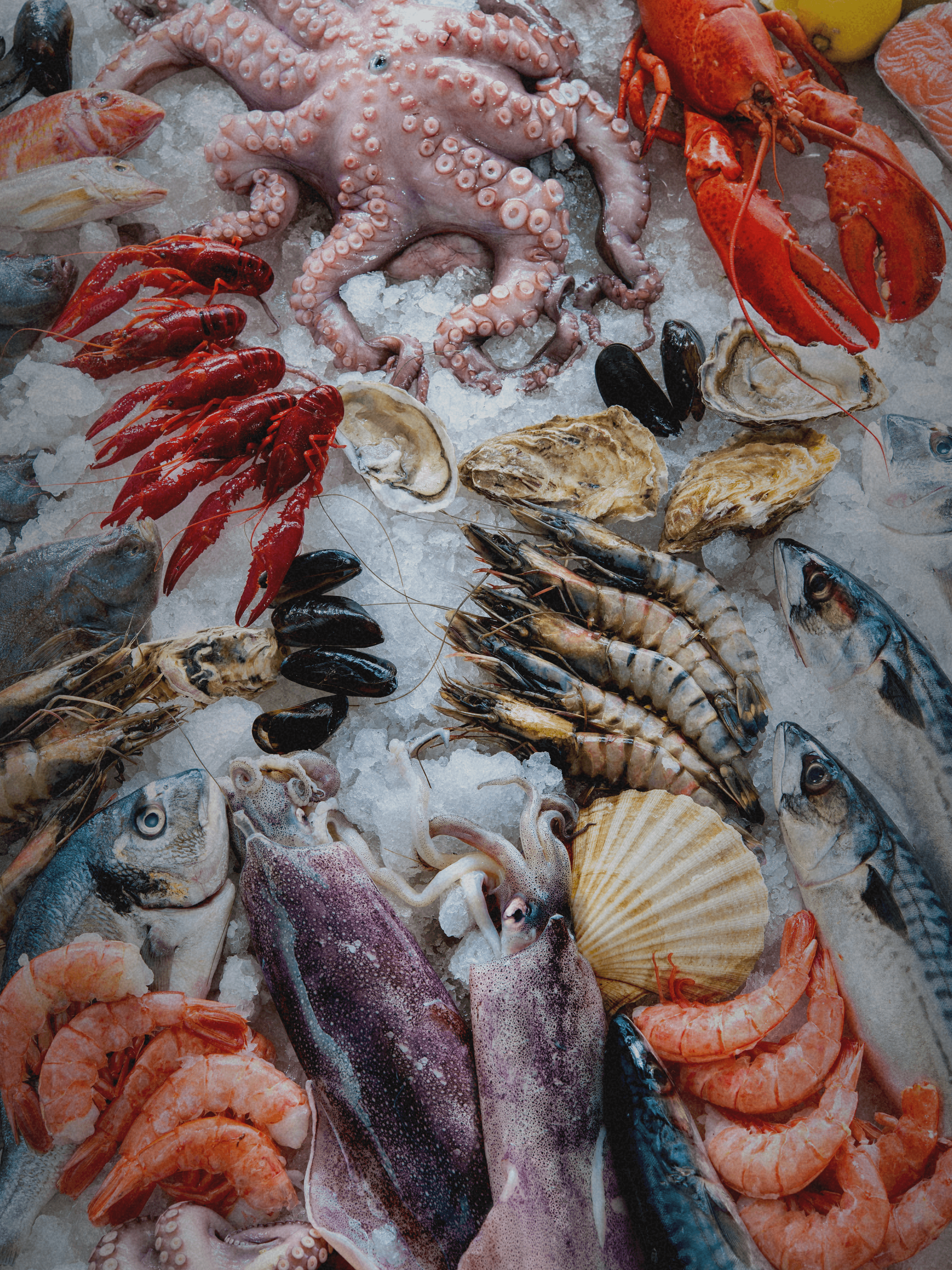 Fresh fish market display